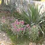 Fragolina * Donje Selo na Šolti