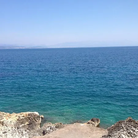 Fragolina *